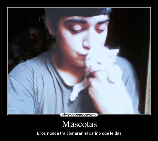 carteles amor mascotas tierno frases amo desmotivaciones