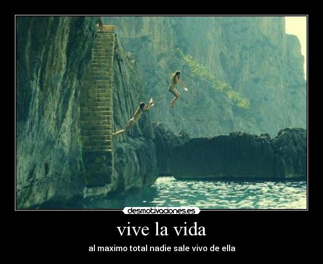 vive la vida - 