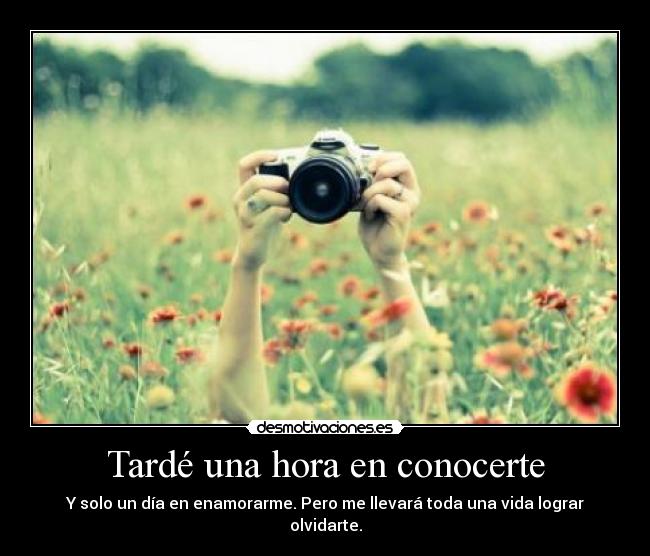 carteles foto desmotivaciones