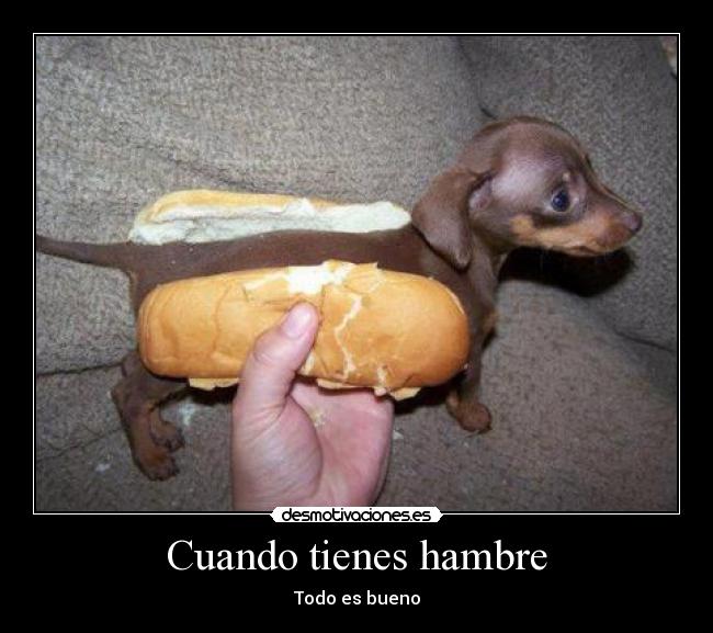 carteles aledelvalle desmotivaciones