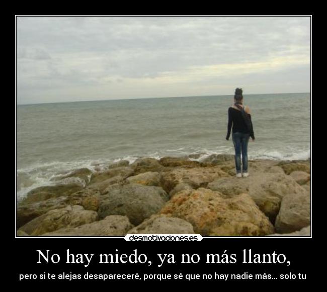 carteles miedo petyta desmotivaciones