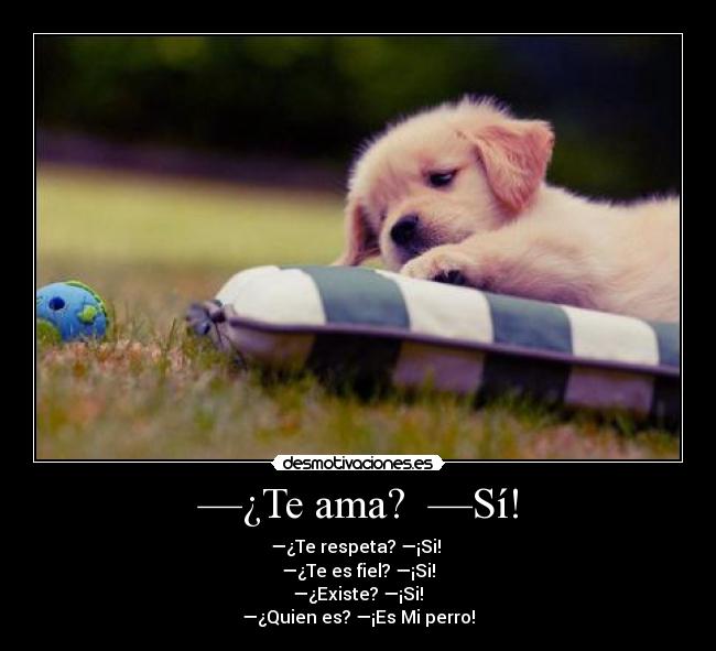 —¿Te ama?  —Sí! - 