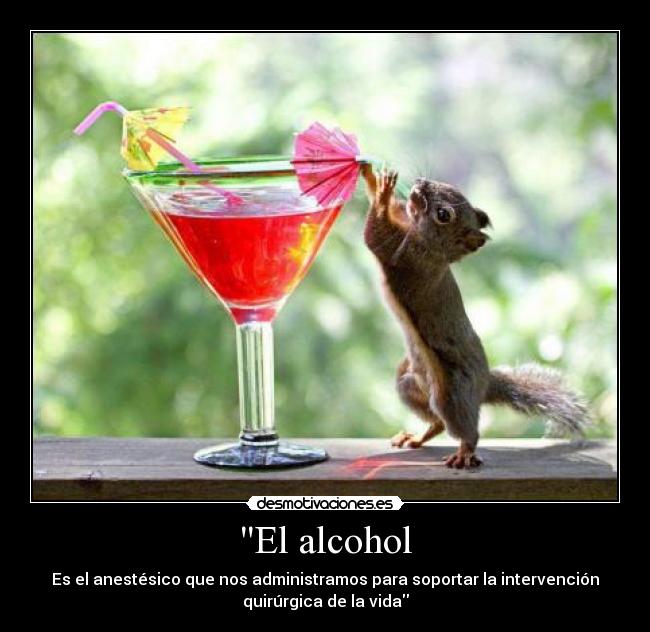 El alcohol - 