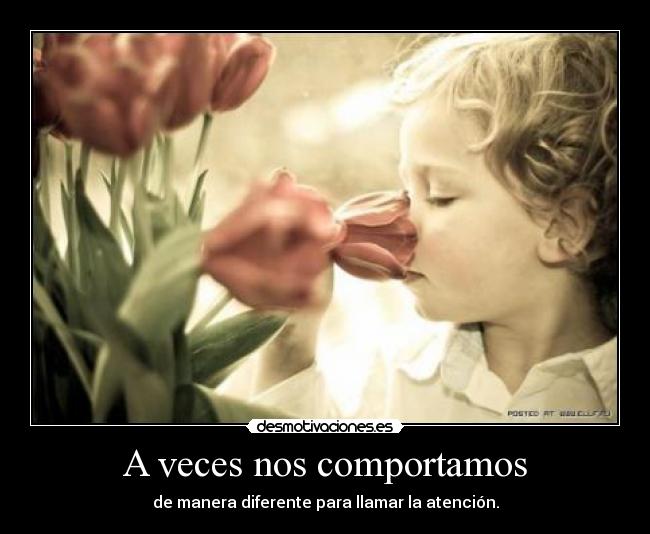 A veces nos comportamos -