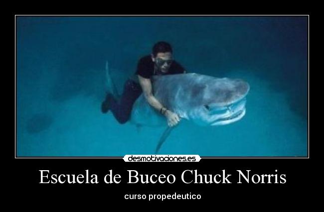 Escuela de Buceo Chuck Norris - curso propedeutico