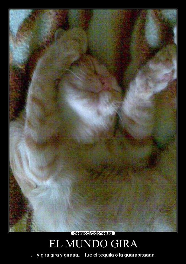 carteles mundo enma perez moreno desmotivaciones