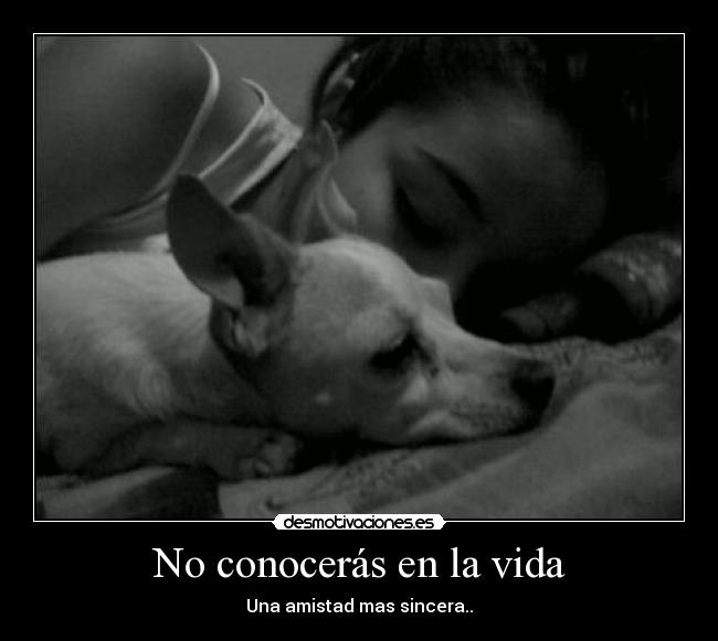 No conocerás en la vida - 