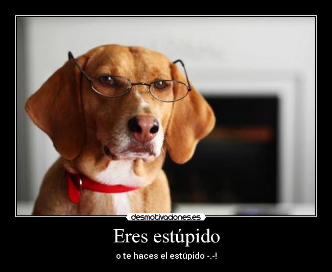 Eres estúpido - o te haces el estúpido -.-!