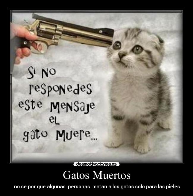 Gatos Muertos - 