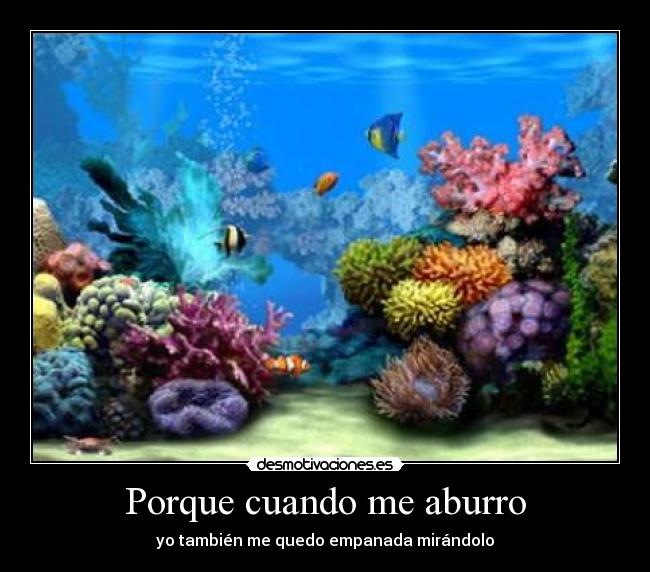 carteles aburrimiento desmotivaciones