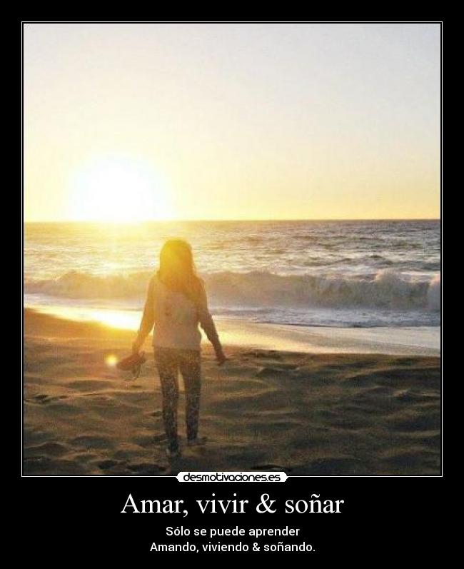 carteles sorry cony robe idea quiero mucho desmotivaciones