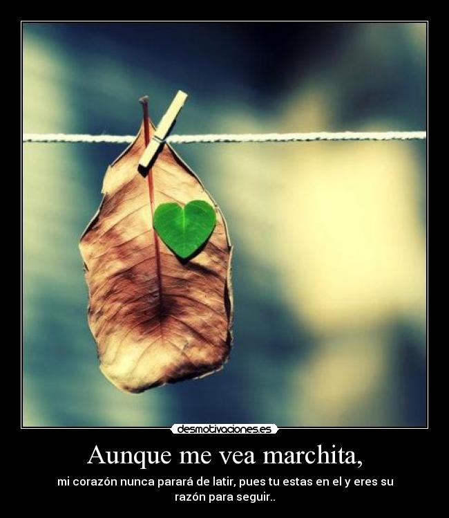 Aunque me vea marchita, -