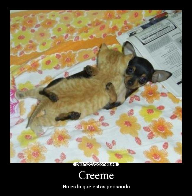 Creeme - No es lo que estas pensando