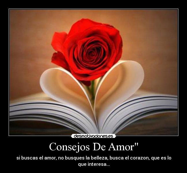 Consejos De Amor - si buscas el amor, no busques la belleza, busca el corazon, que es lo que interesa...