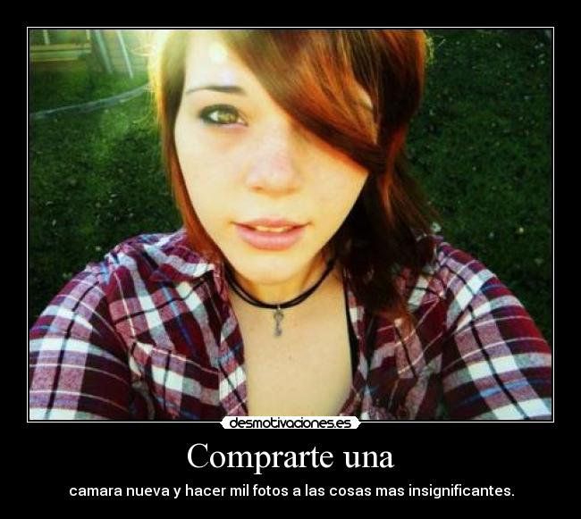 Comprarte una - camara nueva y hacer mil fotos a las cosas mas insignificantes.