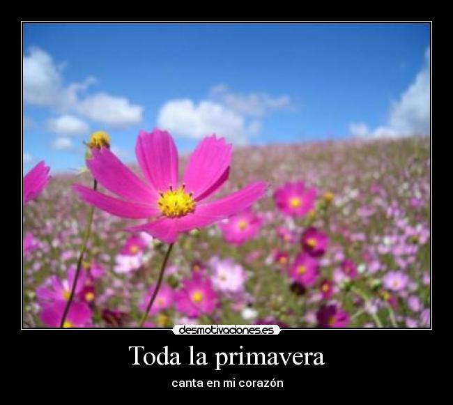 carteles 2012 desmotivaciones