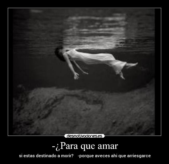 -¿Para que amar - si estas destinado a morir?    -porque aveces ahi que arriesgarce