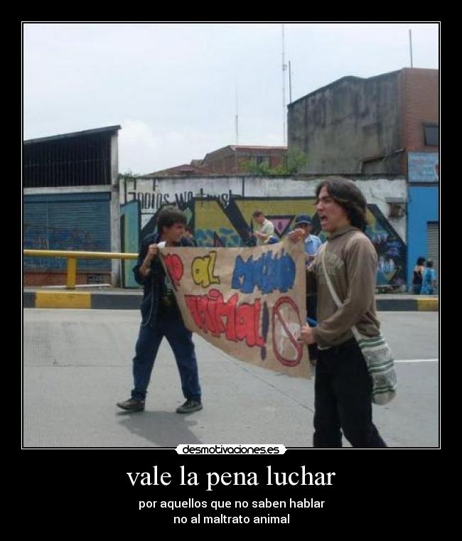 vale la pena luchar - por aquellos que no saben hablar
no al maltrato animal