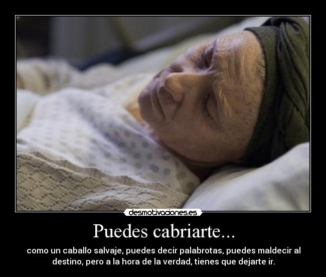 Puedes cabriarte... - como un caballo salvaje, puedes decir palabrotas, puedes maldecir al
destino, pero a la hora de la verdad, tienes que dejarte ir.