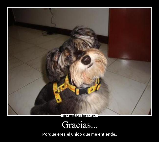 Gracias... -