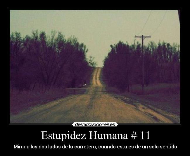 Estupidez Humana # 11 -