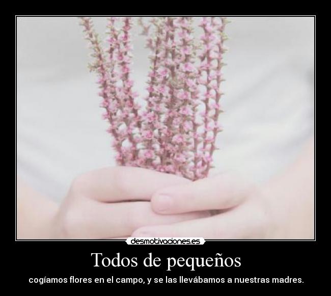 Todos de pequeños - cogíamos flores en el campo, y se las llevábamos a nuestras madres.