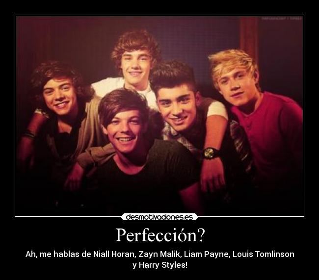Perfección? - Ah, me hablas de Niall Horan, Zayn Malik, Liam Payne, Louis Tomlinson
y Harry Styles!