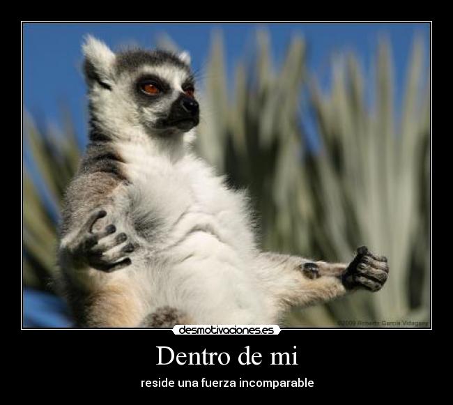 Dentro de mi - reside una fuerza incomparable