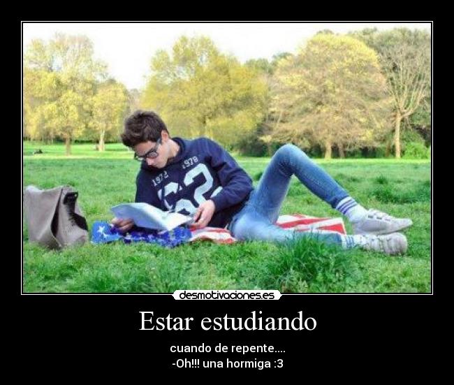 Estar estudiando - cuando de repente....
-Oh!!! una hormiga :3