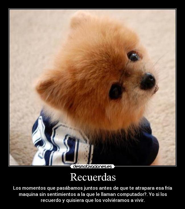 carteles remember desmotivaciones