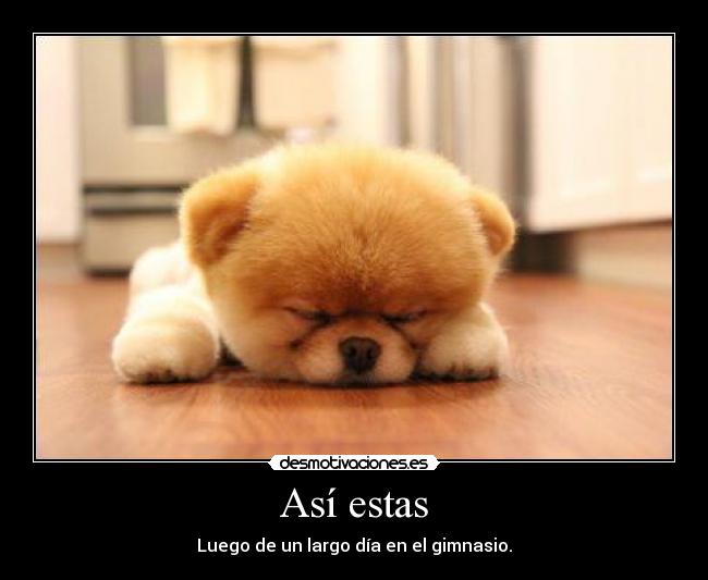 carteles gym desmotivaciones