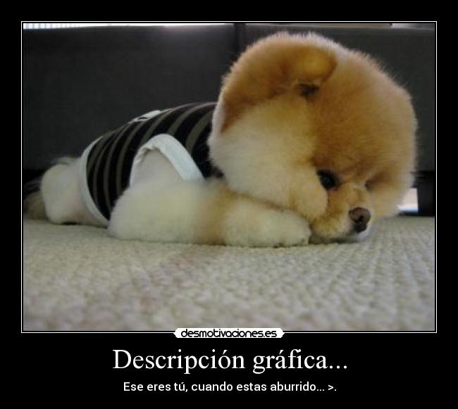 carteles aburrido desmotivaciones