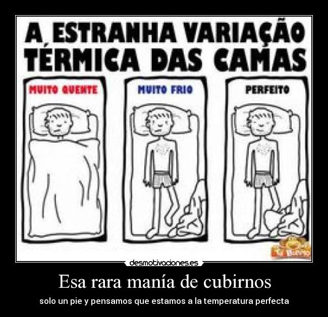 Esa rara manía de cubirnos - 