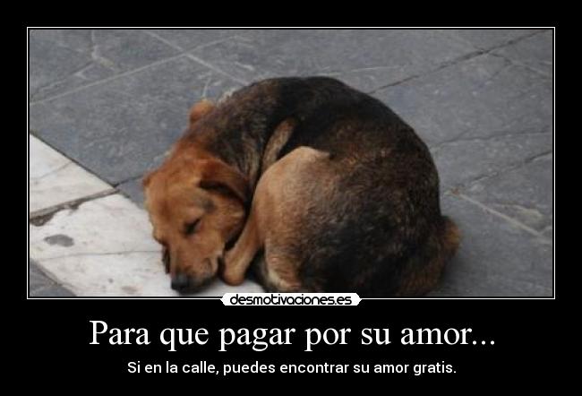 Para que pagar por su amor... - 