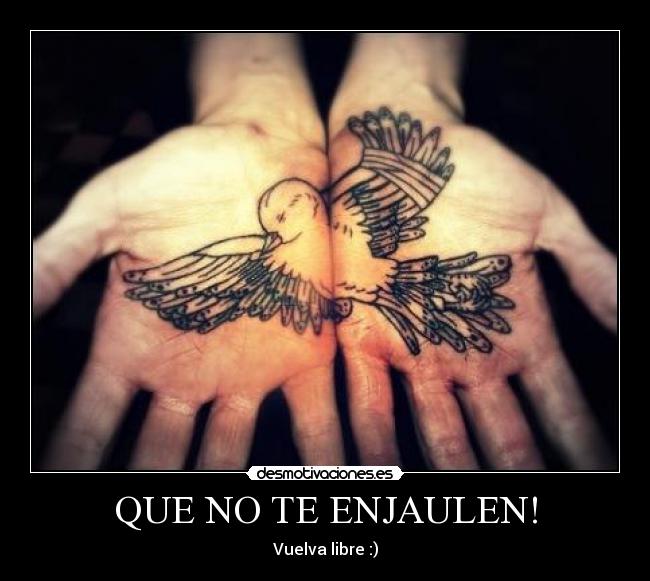 QUE NO TE ENJAULEN! - Vuelva libre :)