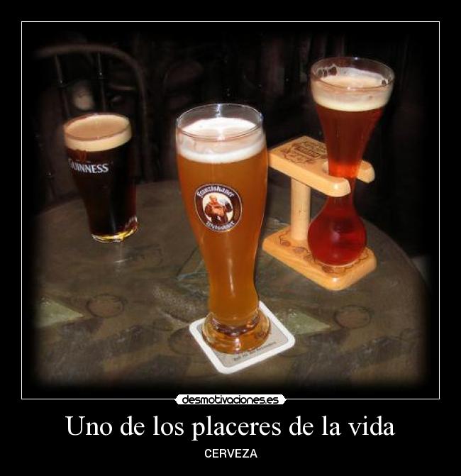 Uno de los placeres de la vida - CERVEZA