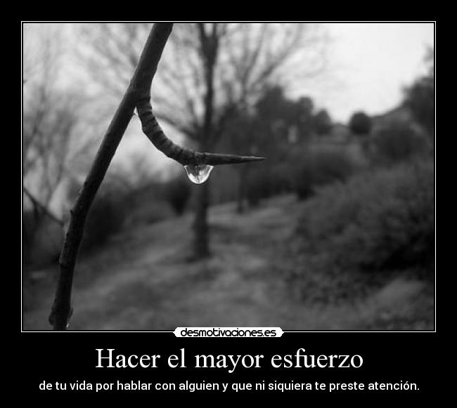 carteles esfuerzo amor atencion vida desmotivaciones