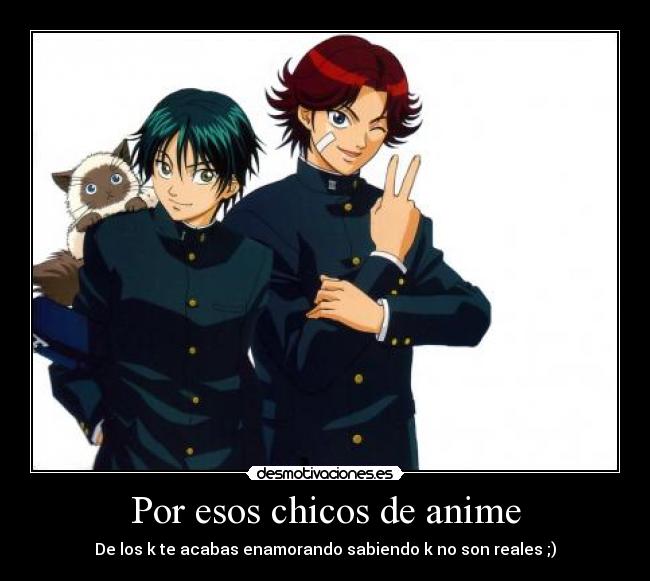 Por esos chicos de anime - 