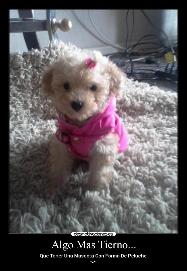 carteles adorable desmotivaciones