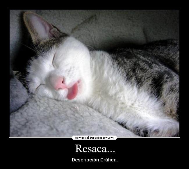 carteles mad desmotivaciones