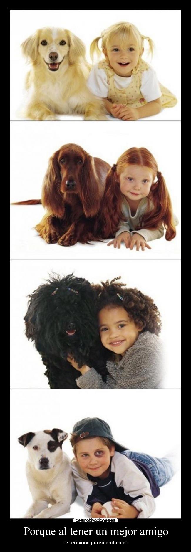 Porque al tener un mejor amigo -