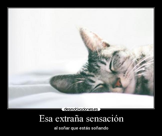 Esa extraña sensación - al soñar que estás soñando