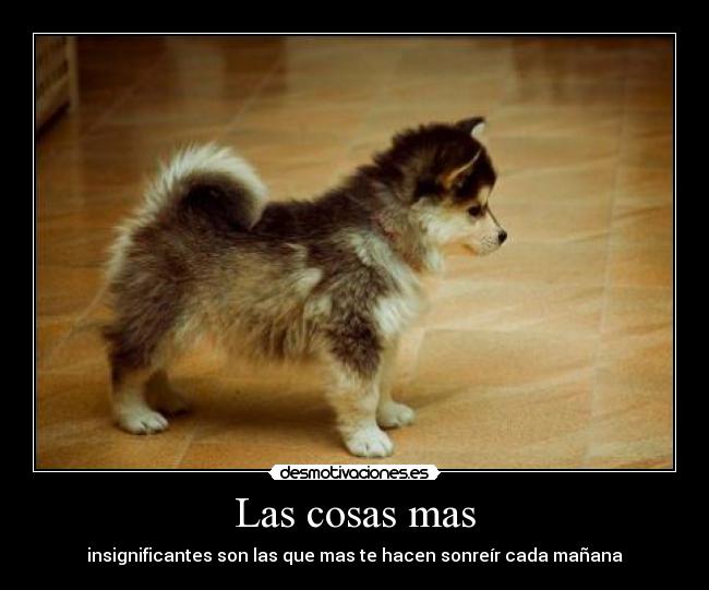 Las cosas mas - insignificantes son las que mas te hacen sonreír cada mañana