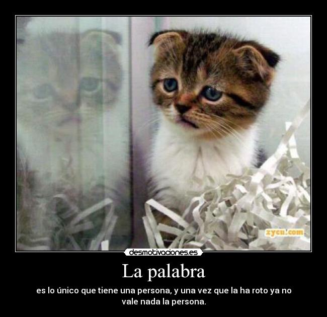 La palabra -