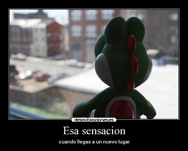 Esa sensacion -
