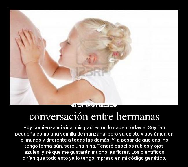 carteles alejandro desmotivaciones