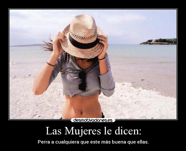 Las Mujeres le dicen: - Perra a cualquiera que este más buena que ellas.