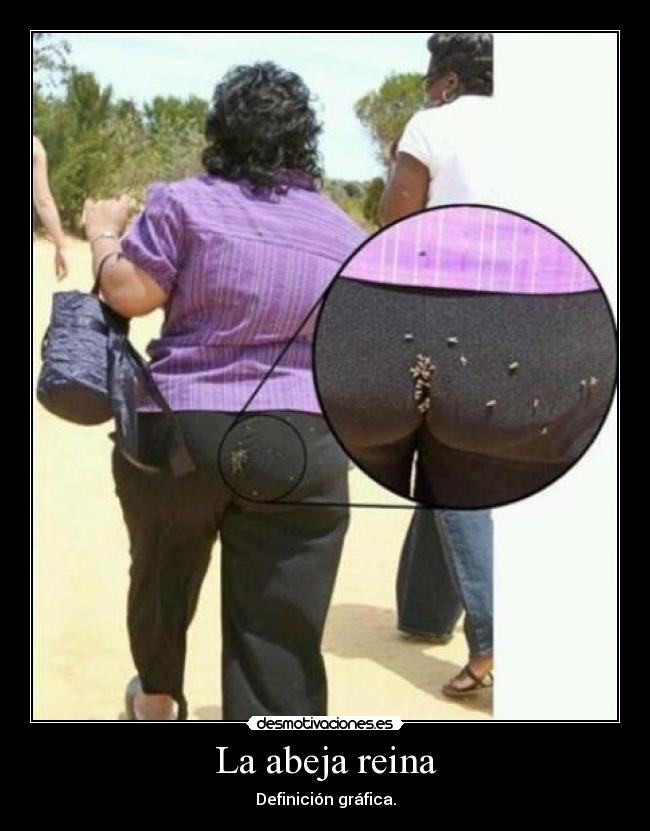 La abeja reina - Definición gráfica.