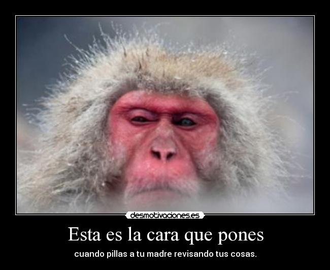 Esta es la cara que pones - cuando pillas a tu madre revisando tus cosas.