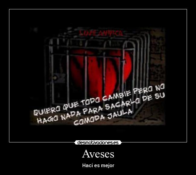 Aveses - Haci es mejor